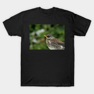 Fieldfare T-Shirt